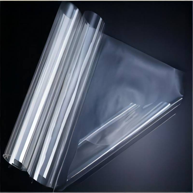 燃料電池用プロトン交換膜